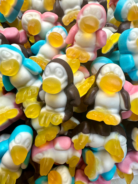 Pingouins multicolores