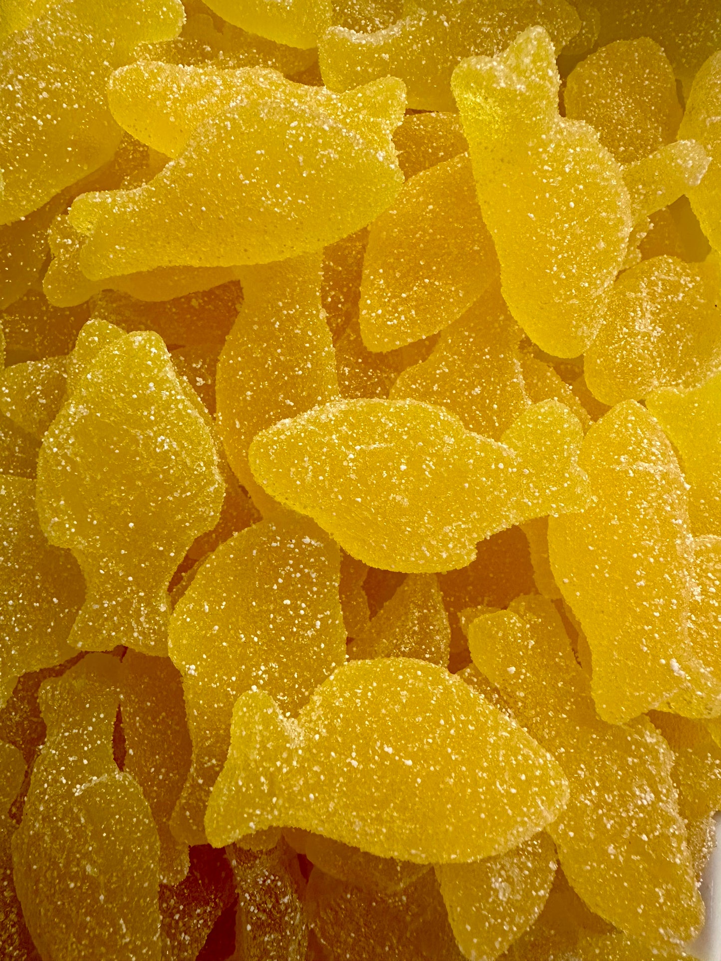 Poissons Fizz au Citron